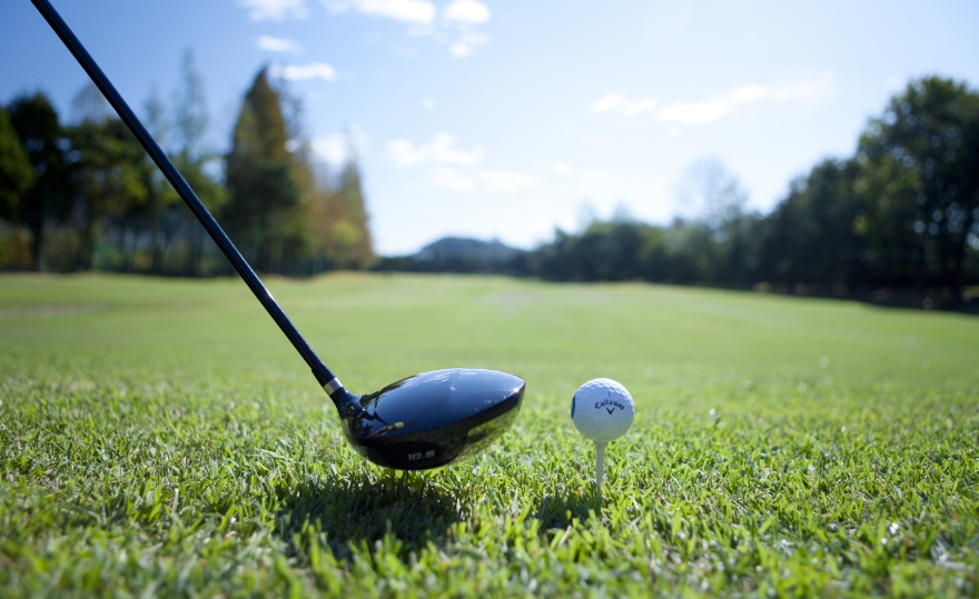 경매상품이미지